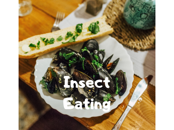 虫を食べるのは体に良いのか